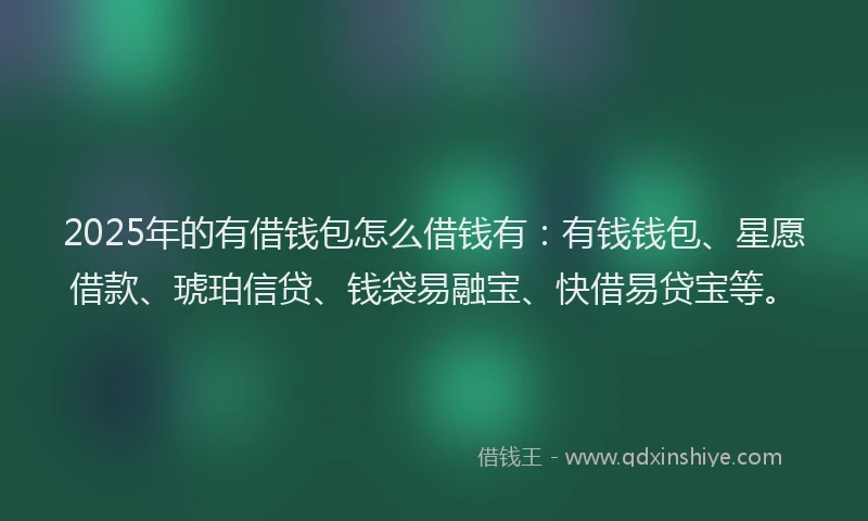 2025年的有借钱包怎么借钱有：有钱钱包、星愿借款、琥珀信贷、钱袋易融宝、快借易贷宝等。