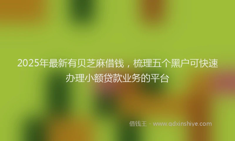 2025年最新有贝芝麻借钱，梳理五个黑户可快速办理小额贷款业务的平台