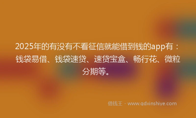 2025年的有没有不看征信就能借到钱的app有：钱袋易借、钱袋速贷、速贷宝盒、畅行花、微粒分期等。