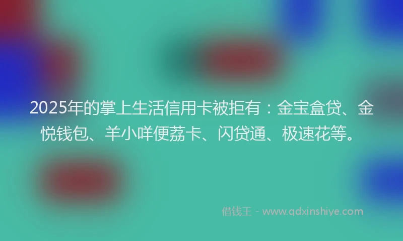2025年的掌上生活信用卡被拒有：金宝盒贷、金悦钱包、羊小咩便荔卡、闪贷通、极速花等。