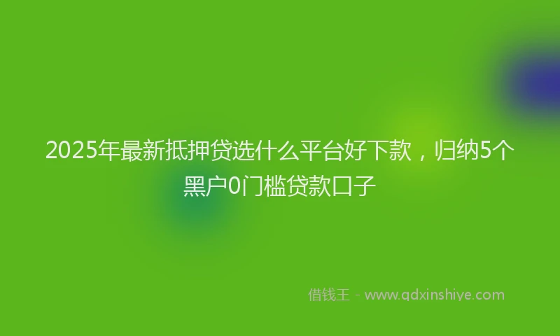 2025年最新抵押贷选什么平台好下款，归纳5个黑户0门槛贷款口子