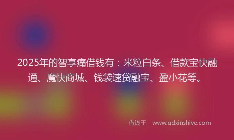 2025年的智享痛借钱有：米粒白条、借款宝快融通、魔快商城、钱袋速贷融宝、盈小花等。