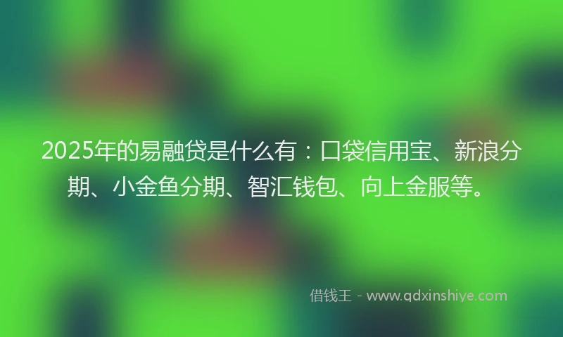 2025年的易融贷是什么有：口袋信用宝、新浪分期、小金鱼分期、智汇钱包、向上金服等。