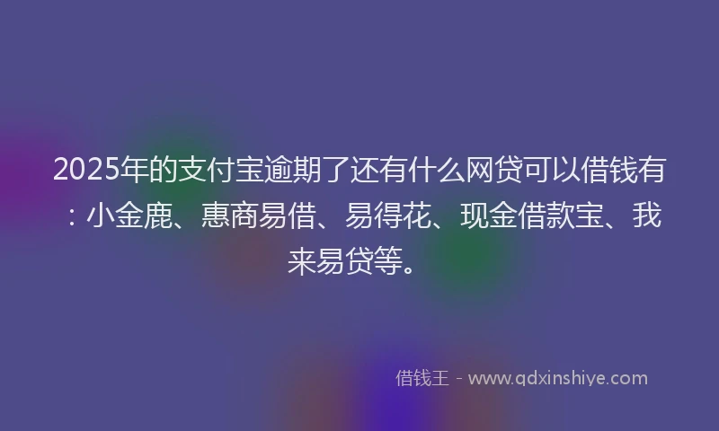 2025年的支付宝逾期了还有什么网贷可以借钱有：小金鹿、惠商易借、易得花、现金借款宝、我来易贷等。