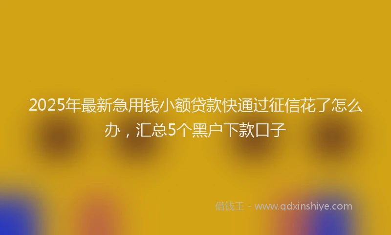 2025年最新急用钱小额贷款快通过征信花了怎么办，汇总5个黑户下款口子