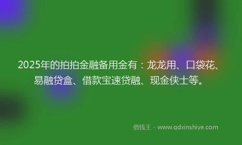 2025年的拍拍金融备用金有：龙龙用、口袋花、易融贷盒、借款宝速贷融、现金侠士等。