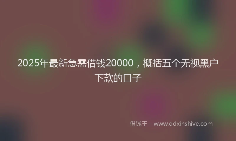 2025年最新急需借钱20000，概括五个无视黑户下款的口子