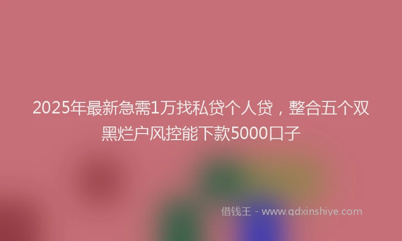 2025年最新急需1万找私贷个人贷，整合五个双黑烂户风控能下款5000口子