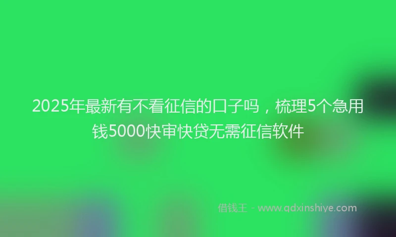 2025年最新有不看征信的口子吗，梳理5个急用钱5000快审快贷无需征信软件