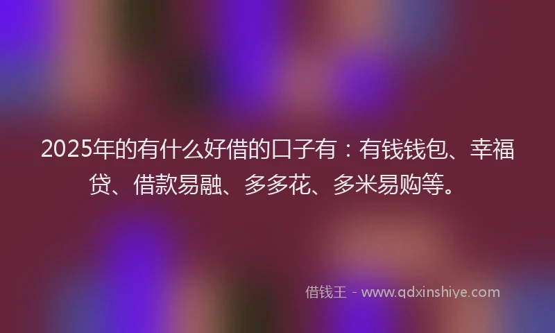 2025年的有什么好借的口子有：有钱钱包、幸福贷、借款易融、多多花、多米易购等。