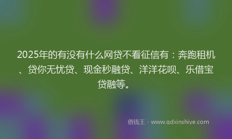 2025年的有没有什么网贷不看征信有：奔跑租机、贷你无忧贷、现金秒融贷、洋洋花呗、乐借宝贷融等。