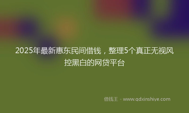2025年最新惠东民间借钱，整理5个真正无视风控黑白的网贷平台