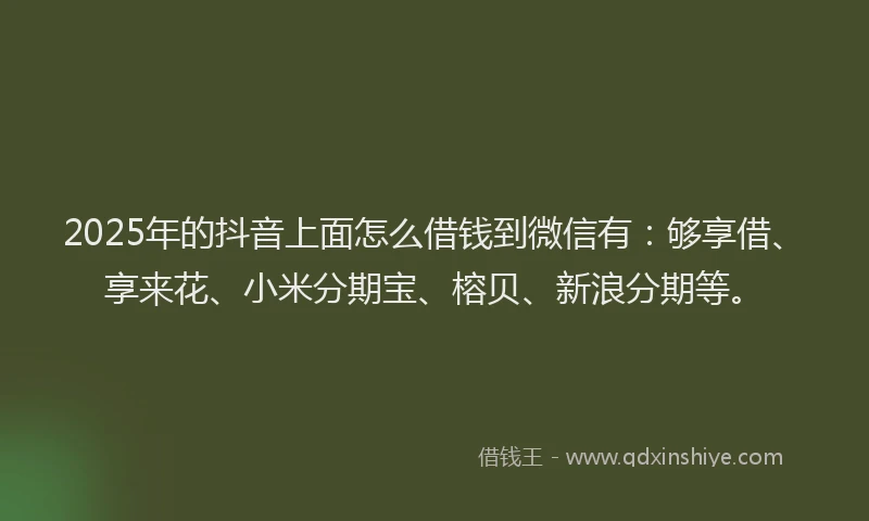 2025年的抖音上面怎么借钱到微信有：够享借、享来花、小米分期宝、榕贝、新浪分期等。