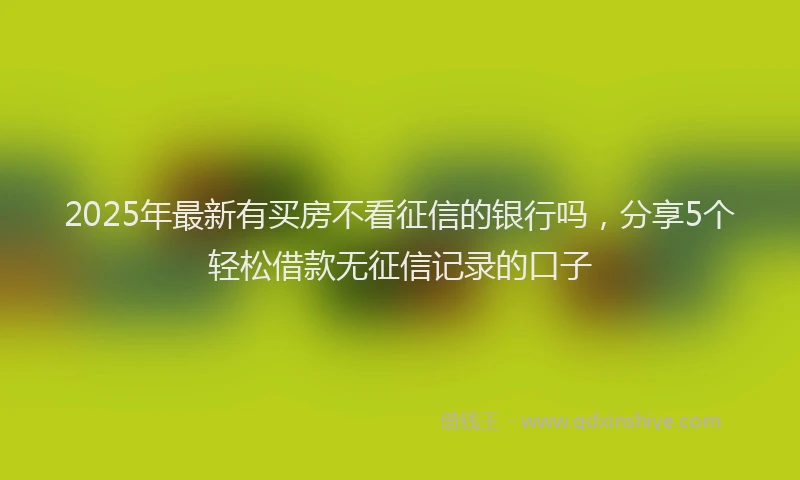 2025年最新有买房不看征信的银行吗，分享5个轻松借款无征信记录的口子