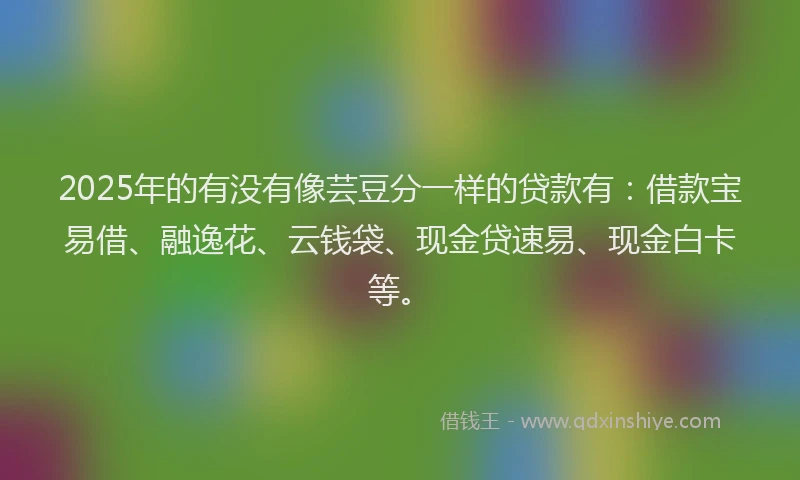 2025年的有没有像芸豆分一样的贷款有：借款宝易借、融逸花、云钱袋、现金贷速易、现金白卡等。