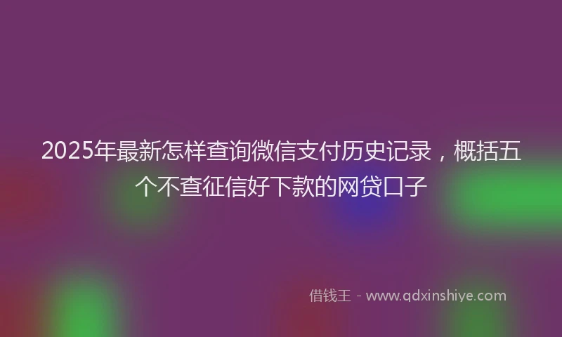 2025年最新怎样查询微信支付历史记录，概括五个不查征信好下款的网贷口子