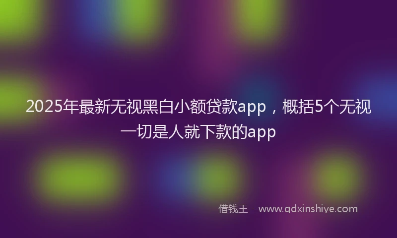 2025年最新无视黑白小额贷款app，概括5个无视一切是人就下款的app
