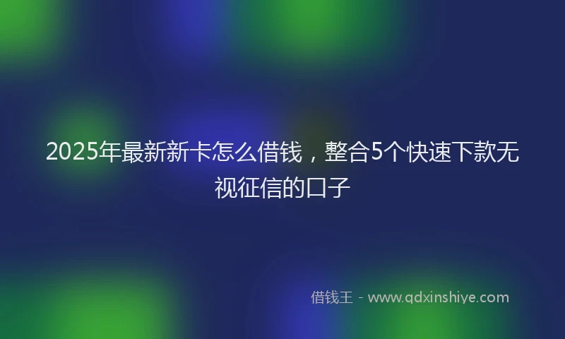 2025年最新新卡怎么借钱，整合5个快速下款无视征信的口子