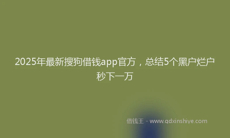 2025年最新搜狗借钱app官方，总结5个黑户烂户秒下一万