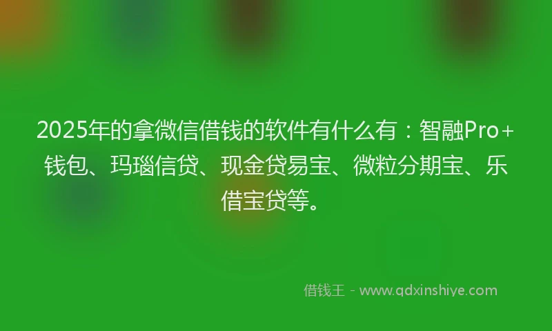 2025年的拿微信借钱的软件有什么有：智融Pro+钱包、玛瑙信贷、现金贷易宝、微粒分期宝、乐借宝贷等。