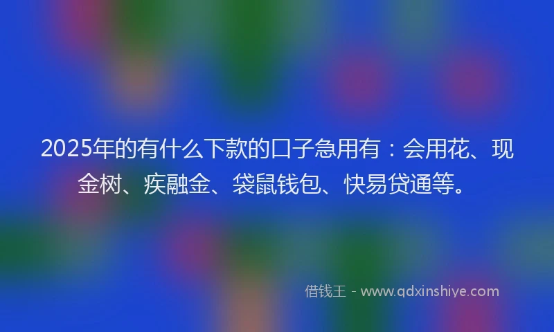 2025年的有什么下款的口子急用有：会用花、现金树、疾融金、袋鼠钱包、快易贷通等。