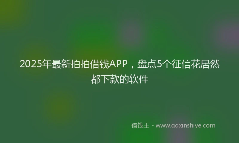 2025年最新拍拍借钱APP，盘点5个征信花居然都下款的软件