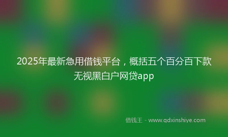 2025年最新急用借钱平台，概括五个百分百下款无视黑白户网贷app