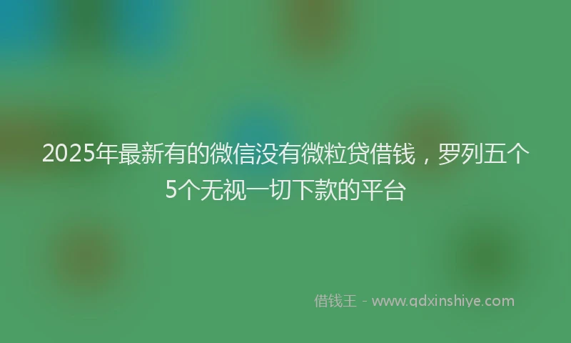 2025年最新有的微信没有微粒贷借钱，罗列五个5个无视一切下款的平台
