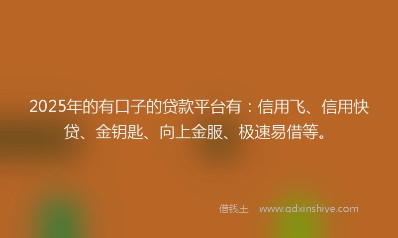 2025年的有口子的贷款平台有：信用飞、信用快贷、金钥匙、向上金服、极速易借等。