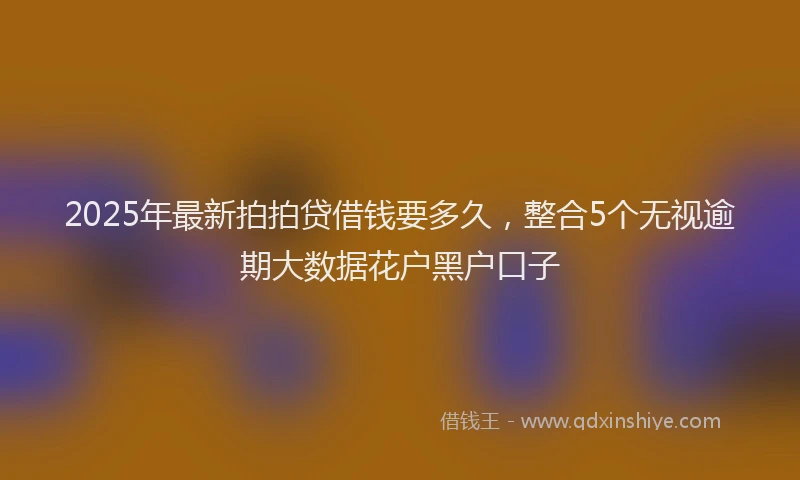 2025年最新拍拍贷借钱要多久，整合5个无视逾期大数据花户黑户口子