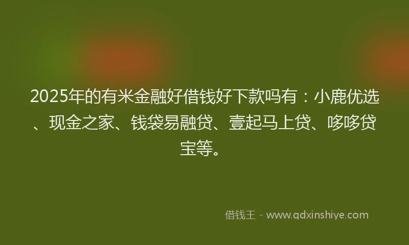 2025年的有米金融好借钱好下款吗有：小鹿优选、现金之家、钱袋易融贷、壹起马上贷、哆哆贷宝等。
