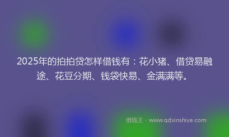2025年的拍拍贷怎样借钱有：花小猪、借贷易融途、花豆分期、钱袋快易、金满满等。