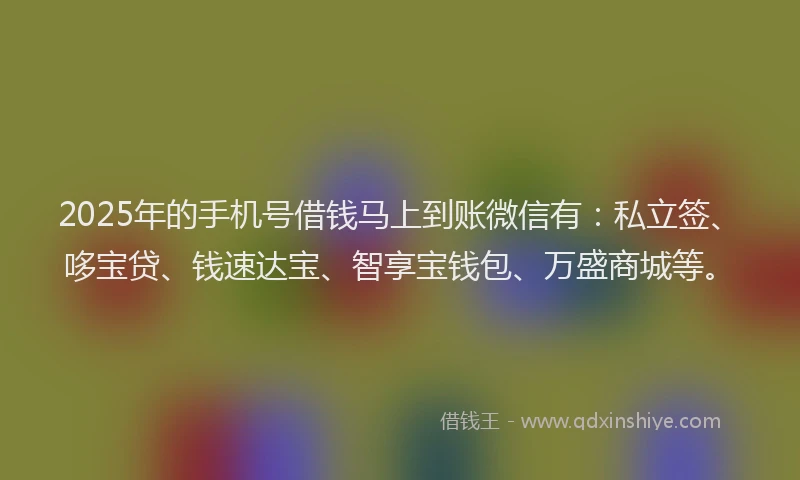 2025年的手机号借钱马上到账微信有：私立签、哆宝贷、钱速达宝、智享宝钱包、万盛商城等。