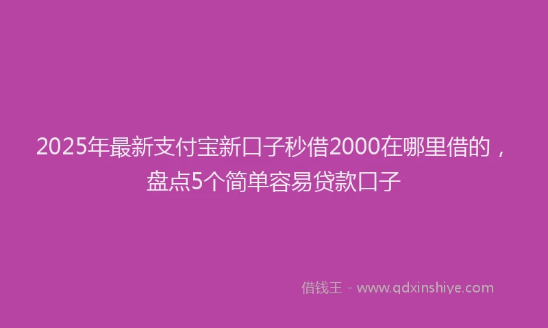2025年最新支付宝新口子秒借2000在哪里借的，盘点5个简单容易贷款口子