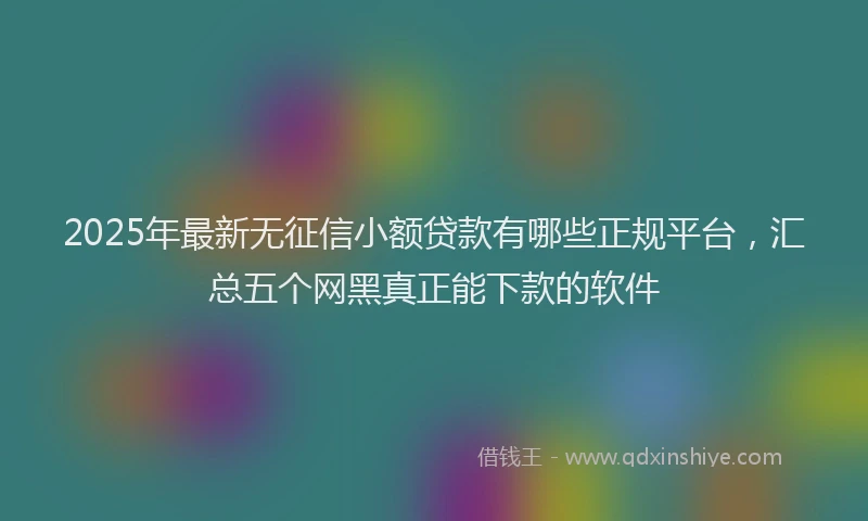 2025年最新无征信小额贷款有哪些正规平台，汇总五个网黑真正能下款的软件
