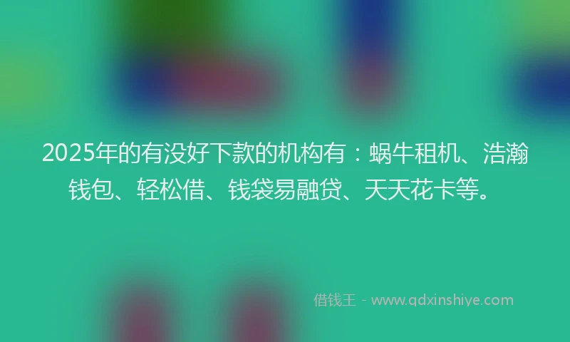 2025年的有没好下款的机构有：蜗牛租机、浩瀚钱包、轻松借、钱袋易融贷、天天花卡等。