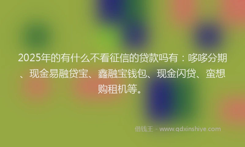 2025年的有什么不看征信的贷款吗有：哆哆分期、现金易融贷宝、鑫融宝钱包、现金闪贷、蛮想购租机等。