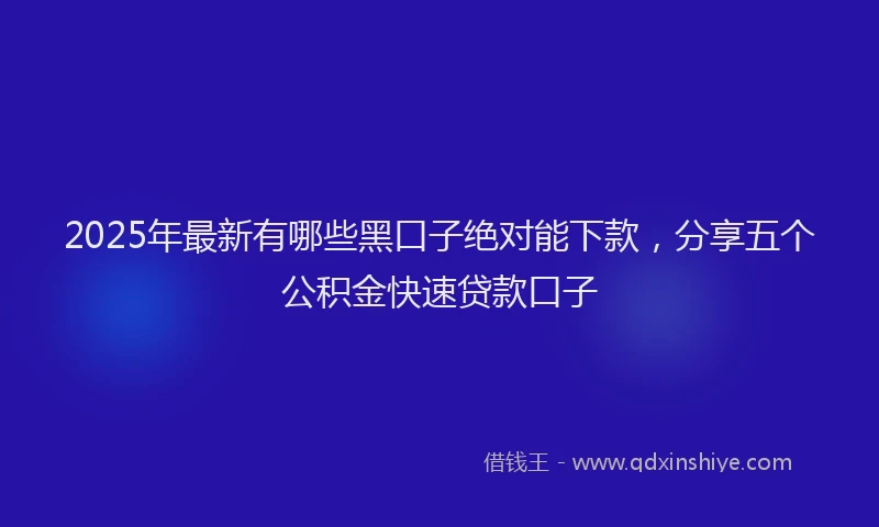 2025年最新有哪些黑口子绝对能下款，分享五个公积金快速贷款口子