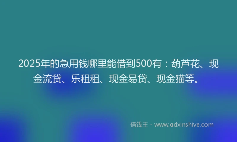 2025年的急用钱哪里能借到500有：葫芦花、现金流贷、乐租租、现金易贷、现金猫等。
