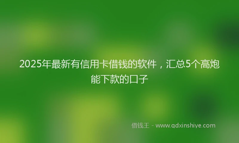2025年最新有信用卡借钱的软件，汇总5个高炮能下款的口子