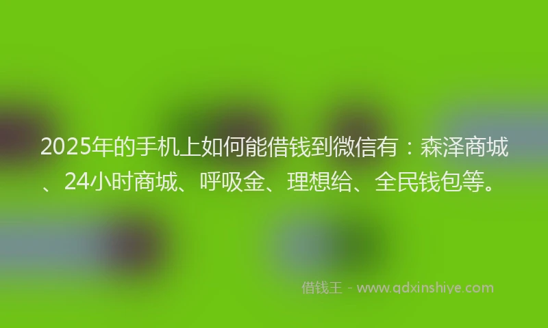 2025年的手机上如何能借钱到微信有：森泽商城、24小时商城、呼吸金、理想给、全民钱包等。
