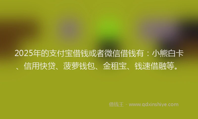 2025年的支付宝借钱或者微信借钱有：小熊白卡、信用快贷、菠萝钱包、金租宝、钱速借融等。