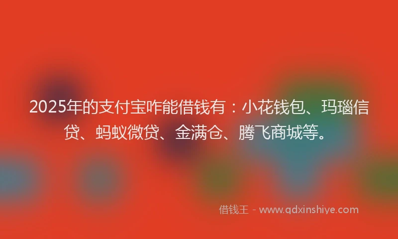 2025年的支付宝咋能借钱有：小花钱包、玛瑙信贷、蚂蚁微贷、金满仓、腾飞商城等。