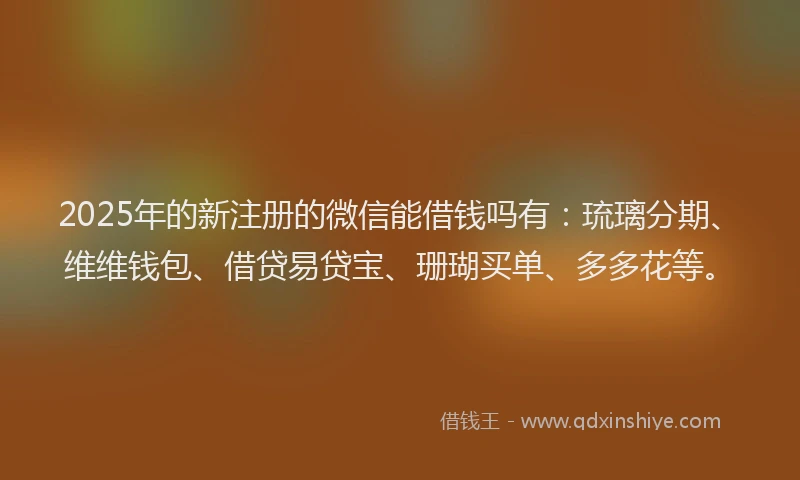 2025年的新注册的微信能借钱吗有：琉璃分期、维维钱包、借贷易贷宝、珊瑚买单、多多花等。