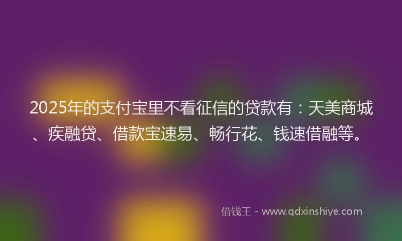 2025年的支付宝里不看征信的贷款有：天美商城、疾融贷、借款宝速易、畅行花、钱速借融等。