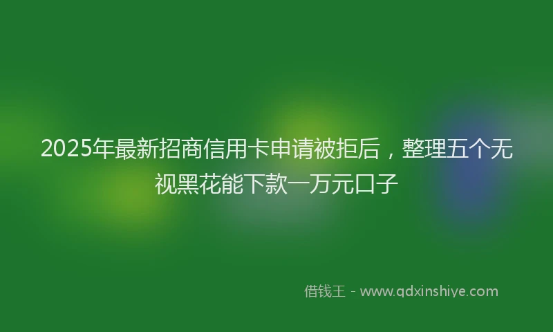 2025年最新招商信用卡申请被拒后，整理五个无视黑花能下款一万元口子