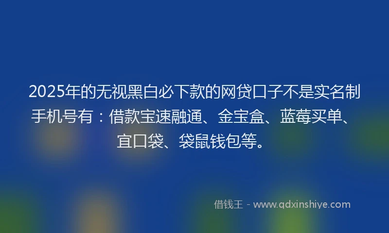 2025年的无视黑白必下款的网贷口子不是实名制手机号有：借款宝速融通、金宝盒、蓝莓买单、宜口袋、袋鼠钱包等。
