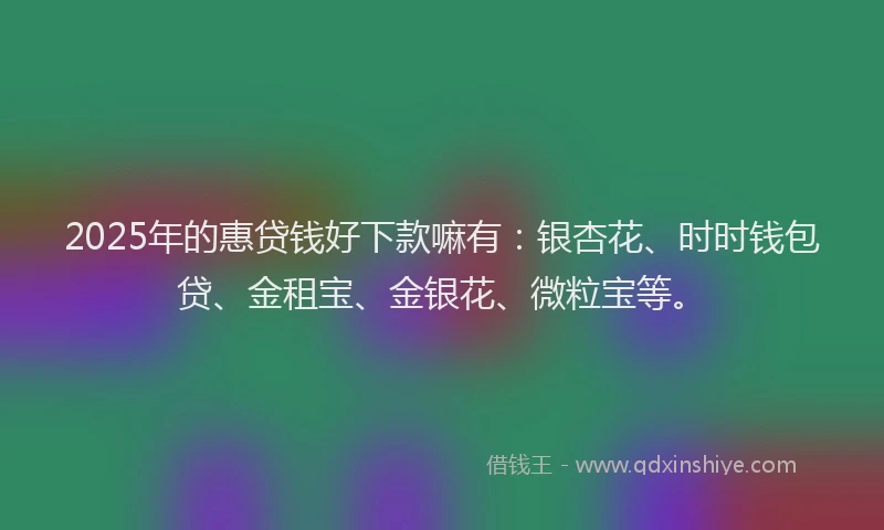 2025年的惠贷钱好下款嘛有：银杏花、时时钱包贷、金租宝、金银花、微粒宝等。