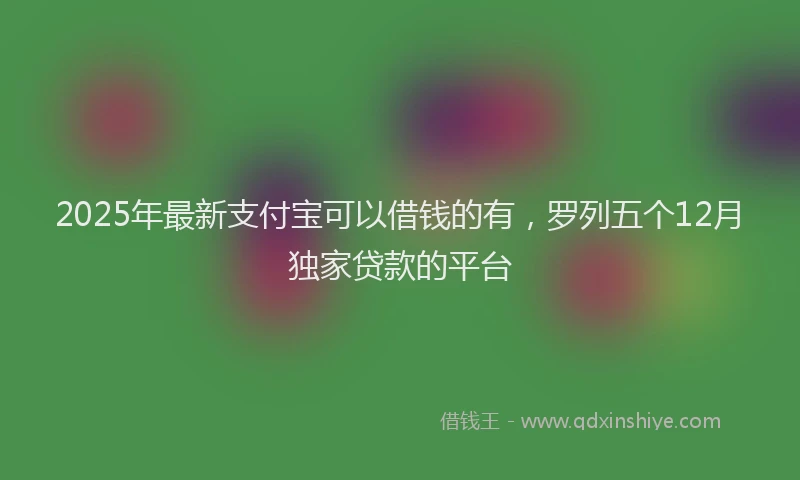 2025年最新支付宝可以借钱的有，罗列五个12月独家贷款的平台