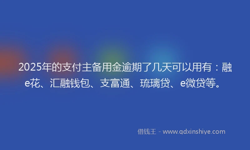 2025年的支付主备用金逾期了几天可以用有：融e花、汇融钱包、支富通、琉璃贷、e微贷等。